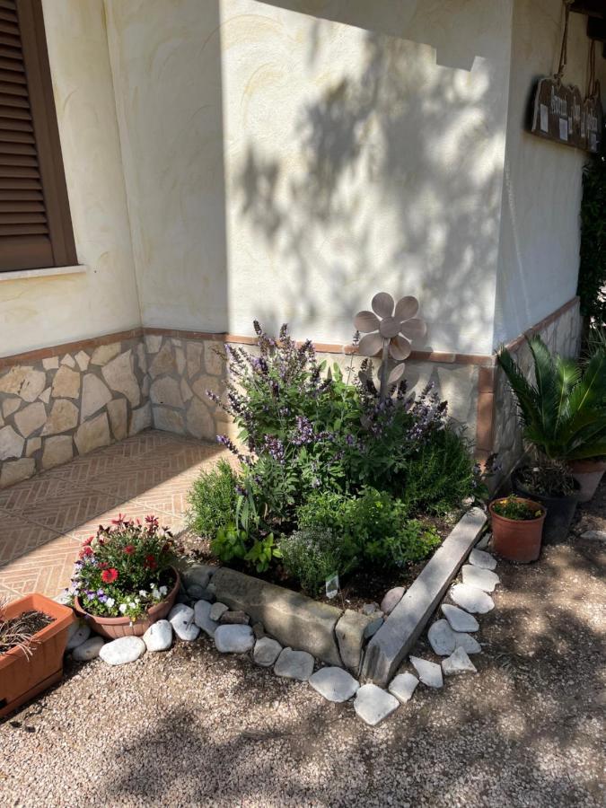 La Lestra Villa Сан Феличе Чирчео Екстериор снимка